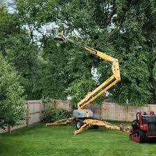 Best Tree Removal Services  in Gardena, CA